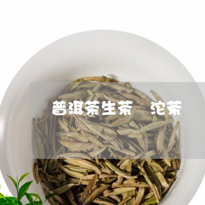 普洱茶生茶 沱茶/2023041294030